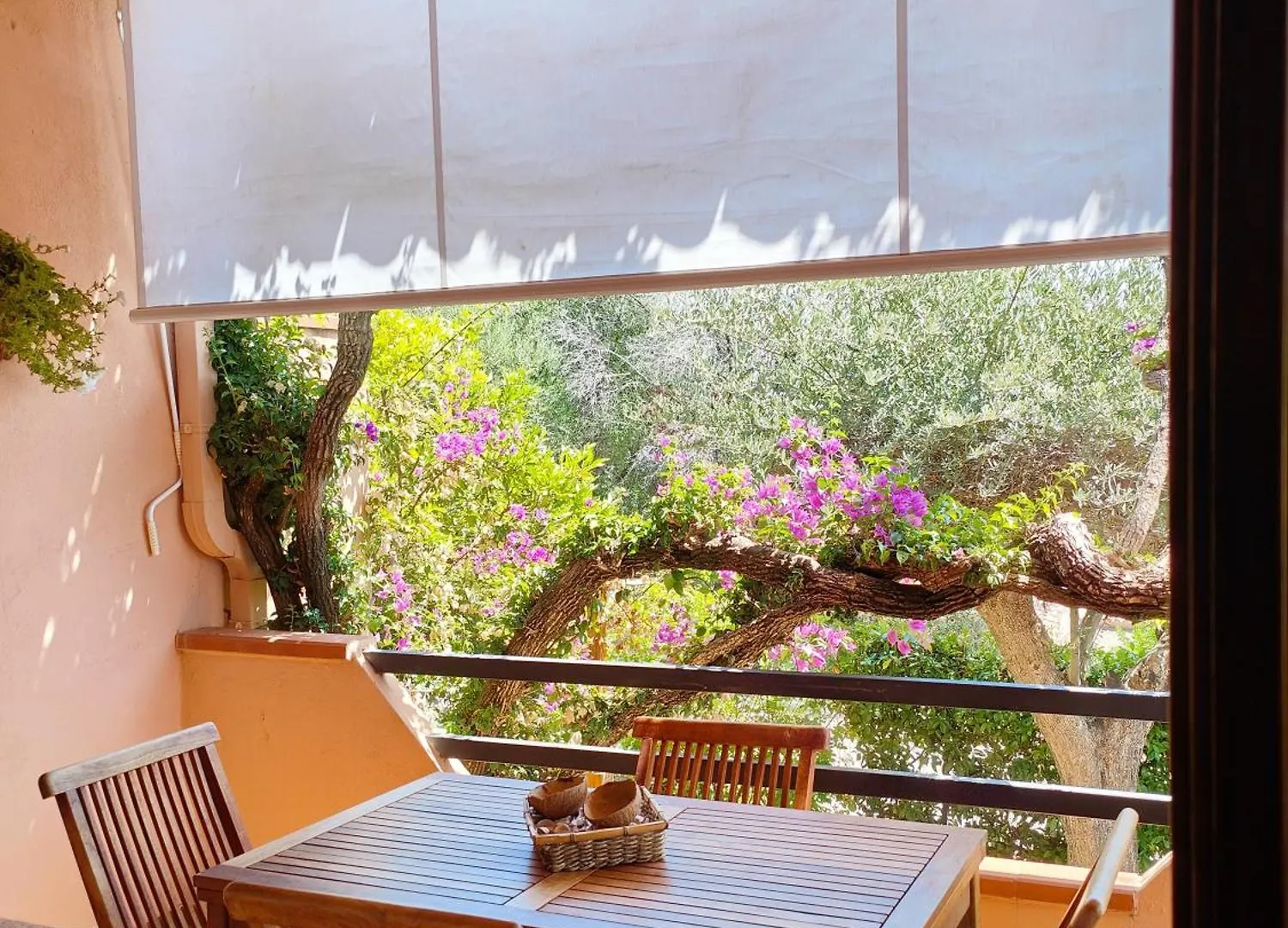 La Casa Di Delia Villa Budoni Holiday home